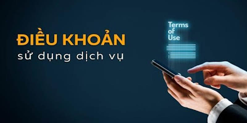 Giới thiệu tổng quát về điều khoản điều kiện